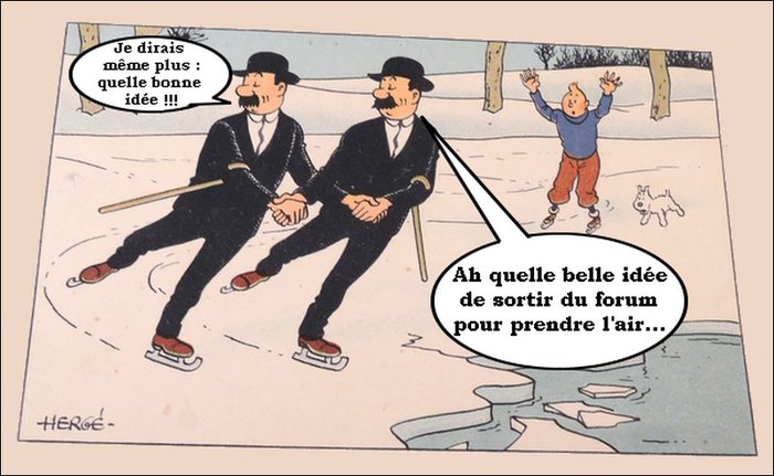 Dupont et Dupond.jpg