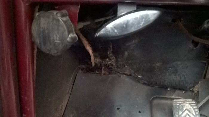WP_20161013_001.jpg