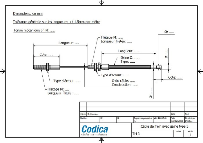 Plan Codica.jpg