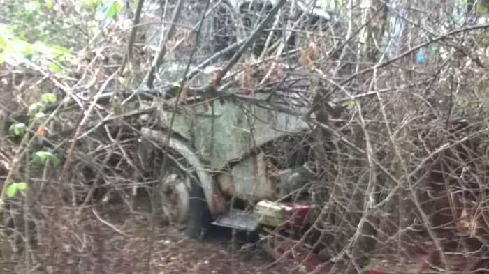 WP_20161001_017.jpg
