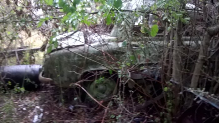 WP_20161001_019.jpg
