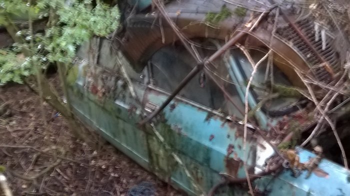 WP_20161001_035.jpg