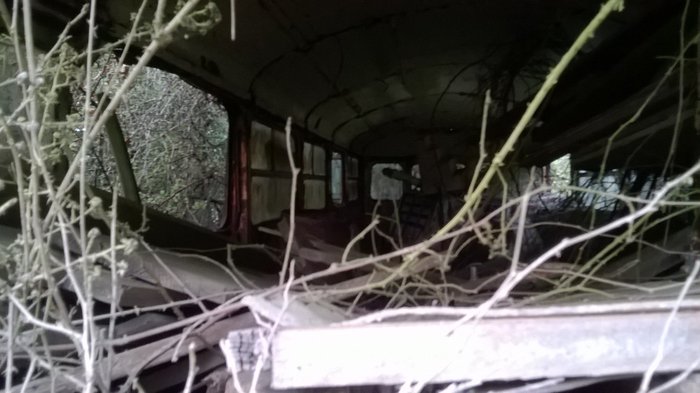 WP_20161001_058.jpg