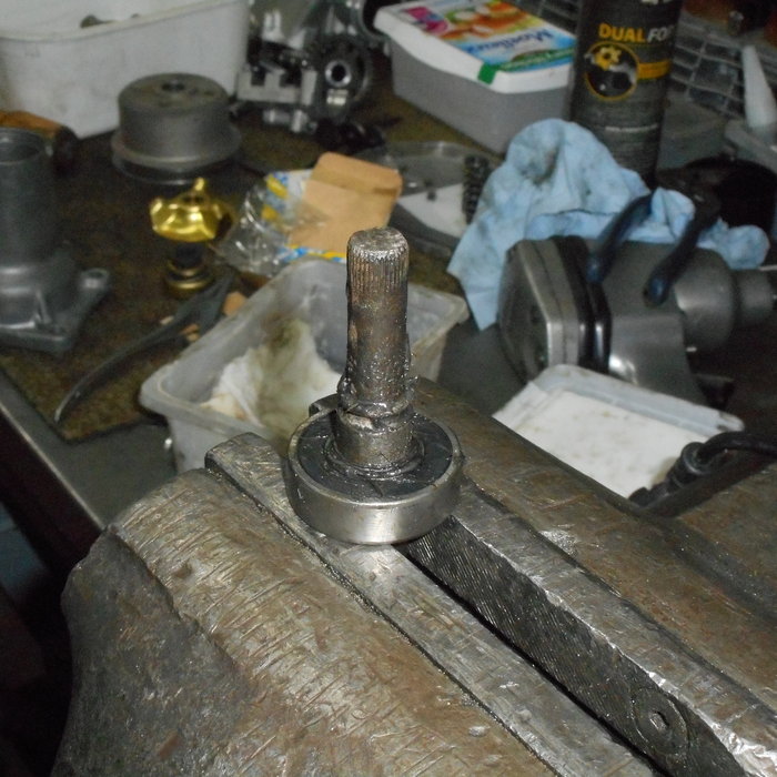 DSCN0555.JPG