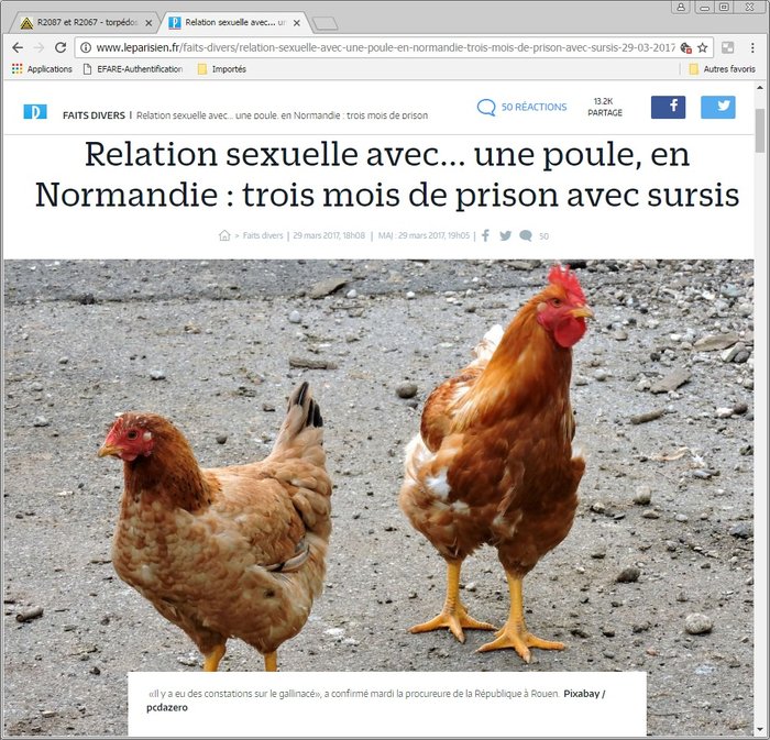 normand.jpg