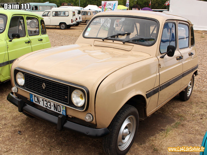 111-daim-4l.jpg