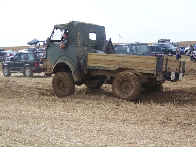 1003234d.jpg