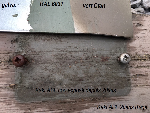 kakis.jpg