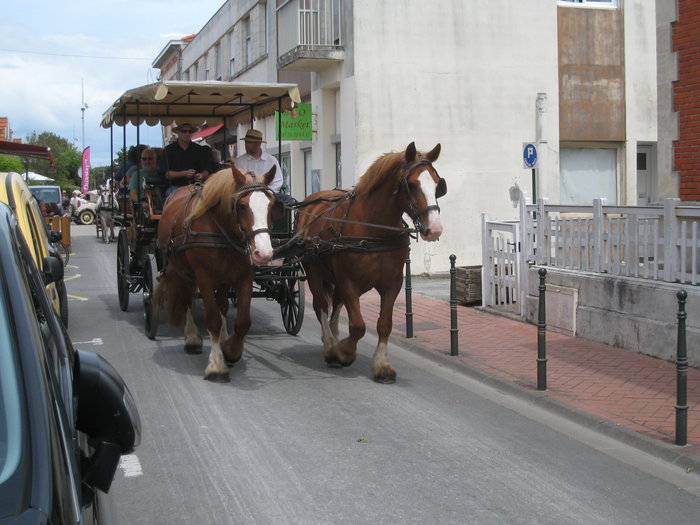 IMG_2235.JPG