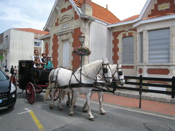 IMG_2236.JPG