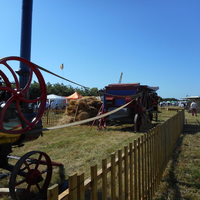 DSCN0784.JPG