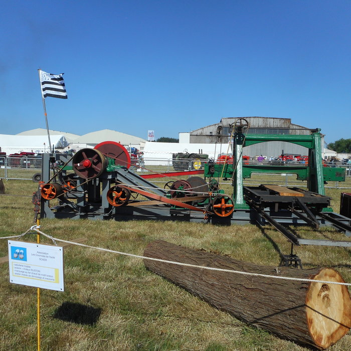 DSCN0795.JPG