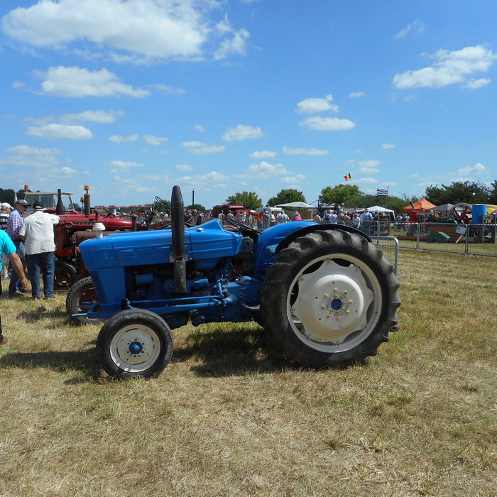 DSCN0799.JPG