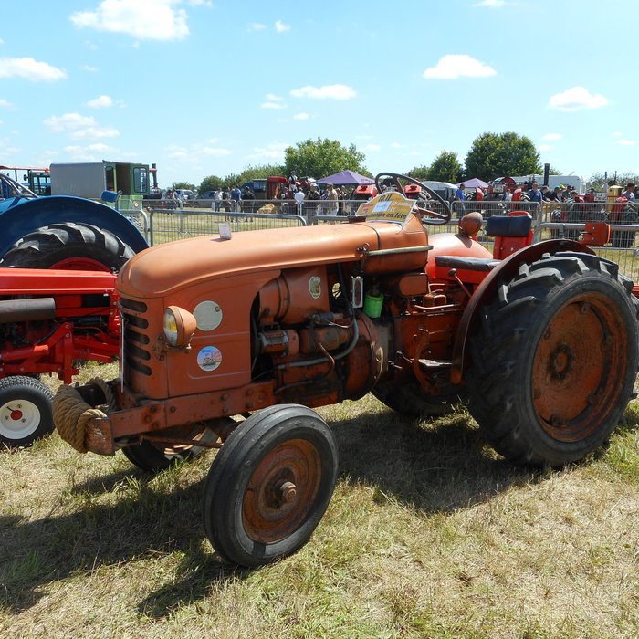 DSCN0810.JPG