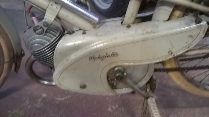 WP_20170531_006.jpg