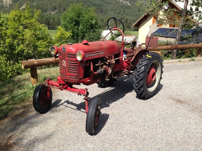 Cub 08.jpg