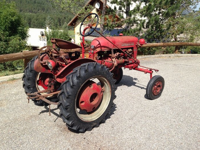 Cub 09.jpg