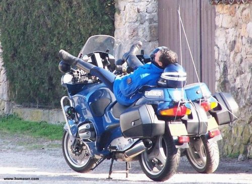 ob_c7f988_police-dodo.jpg