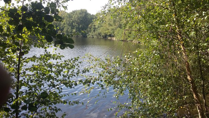 20170924_143638.jpg