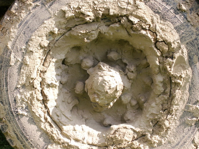 PICT0082.JPG