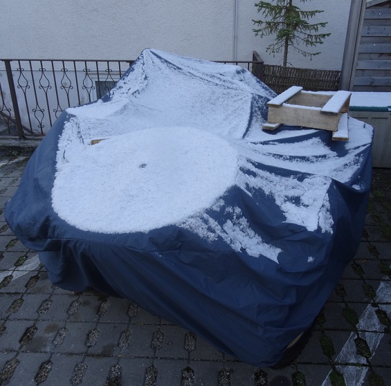 Premiers flocons.jpg