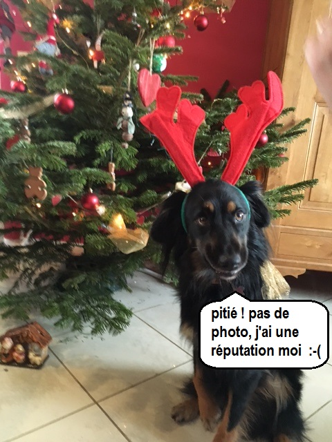 Nowel !! .jpg