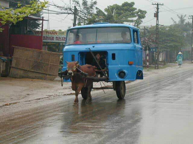 camion-tire-par-un-boeuf1213352668_1216465659.jpg