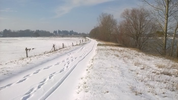 WP_20180301_004.jpg