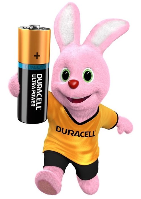 Lapin.jpg