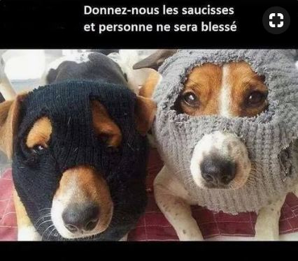 2018-03-20%2016_05_22-(243)%20Pinterest.jpg