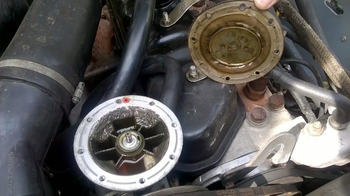 WP_20180331_002.jpg