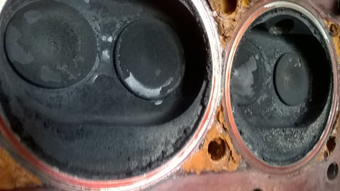WP_20180420_008.jpg