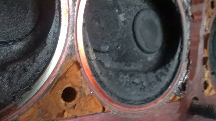 WP_20180420_007.jpg