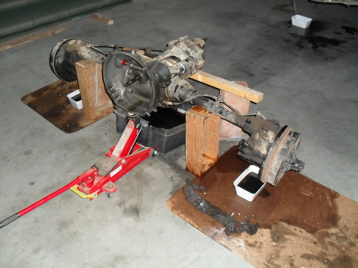 SDC13863.JPG