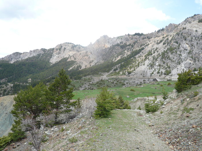 P1010627.JPG