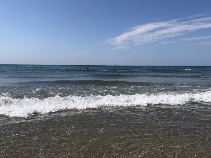 ADCE5729-81AB-4402-B0FF-209A4BF052E7.jpeg