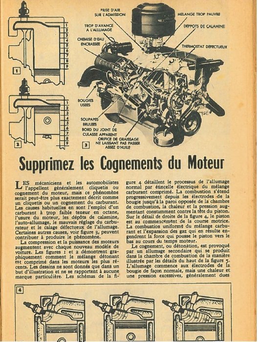 N116 1956 p95.jpg