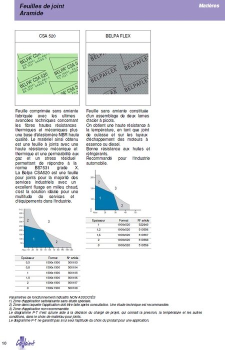 cojoint page10.jpg