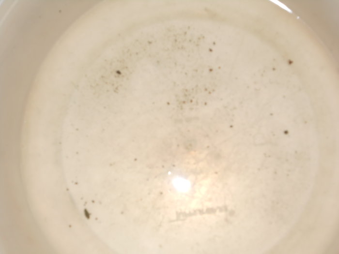 DSCN1967.jpg