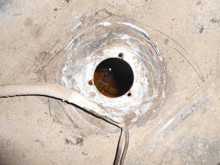 DSCN1979.jpg