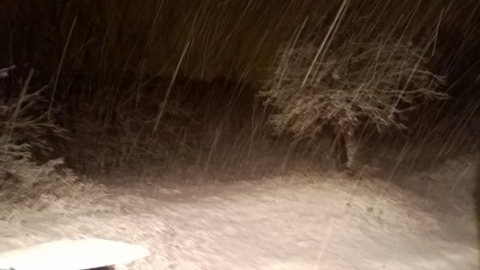 WP_20190131_028.jpg