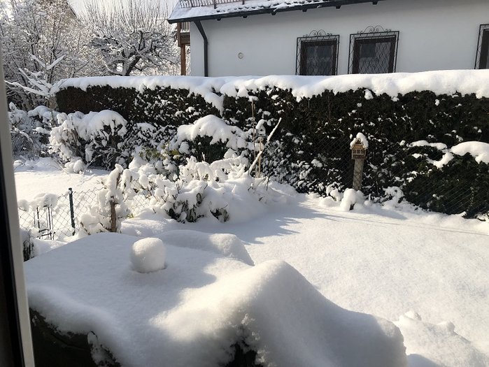 Garten.jpg