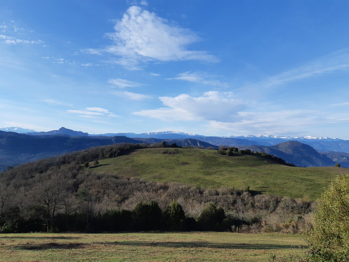 20190303_085622.jpg