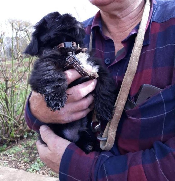 Onyx et Claude . arrivée Rot. 7 mars 2019.jpg