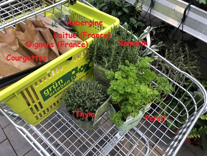 Blumengeschäft.jpg