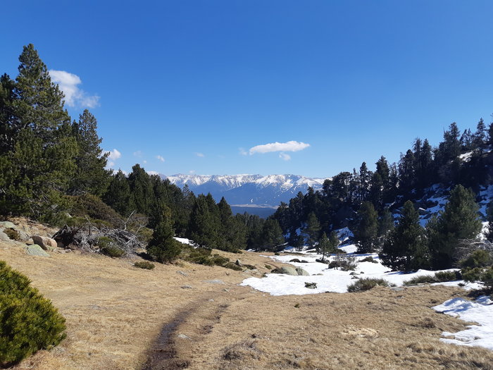 20190330_143332.jpg