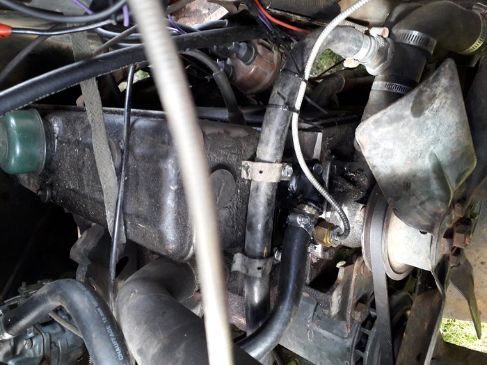 20190514_155126.jpg