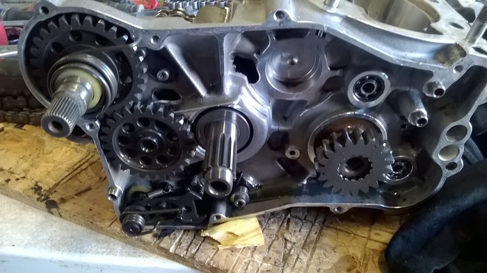 WP_20190601_014.jpg