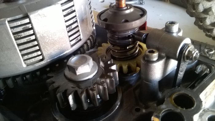 WP_20190601_006.jpg