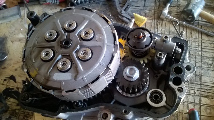 WP_20190601_005.jpg